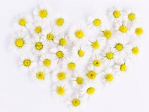 Jak může muž ženě říci, že ji má rád?